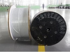 膜包圓扁線 tjjhy-36n