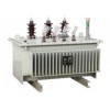 常規(guī)油浸式非晶合金配電變壓器