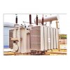 S11-40000/110 自冷雙繞組無(wú)勵(lì)磁調(diào)壓電力變壓器