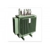 S9-M-01PE  10KV級密封式無勵磁調壓變壓器