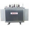 S9、S11系列電力變壓器 bxtf-07j