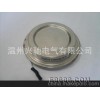 廠家熱銷雙向晶閘管 高品質