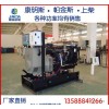 株洲市超值特惠帕金斯64KW發電機  柴油發電設備 船用發電