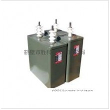 勝科BWF高壓并聯(lián)電容器