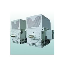 湘電/Y,YKS,YKK系列/高壓三相異步電動機