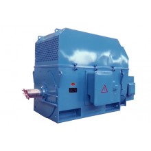 六安江淮電機(jī)/YR, YRKS, YRKK系列/大型高壓三相異步電機(jī)