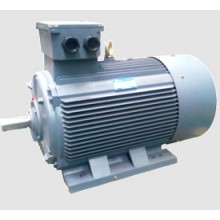 西安西瑪電機(jī)/YE2系列/高效率三相異步電動(dòng)機(jī)