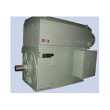 臥龍電氣/YVKK系列/高壓變頻調速三相異步電動機