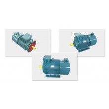 上海上電電機/ YVP系列/變頻調速三相異步電動機