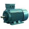 YE3系列超高效三相異步電動機\上海上電電機