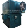 YPT、YPTKK系列高壓變頻電機\沈陽電機