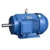 YE3-80~355系列超高效率三相異步電動機\六安江淮電機