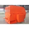 YX, YXKS, YXKK 系列610kV (H450~630)中型高壓高效三相異步電動機\六安江淮