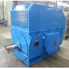Y, YKS, YKK 系列6kV( H355~630)中型高壓三相異步電動機\六安江淮電機