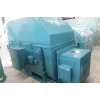 YR, YRKS, YRKK系列10kV (H450~630)中型高壓三相異步電動(dòng)機(jī)\六安江淮電機(jī)