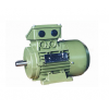 MD1A系列三相交流異步電動(dòng)機(jī)\大連電機(jī)