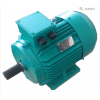 YE3系列超高效率三相異步電動(dòng)機(jī)\臥龍電氣