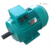 YE3系列超高效率三相異步電動(dòng)機(jī)\臥龍電氣