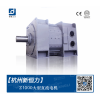 Z系列大型直流電動機/恒力電機