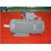 YBZE系列起重及冶金用隔爆型電磁制動(dòng)三相異步電動(dòng)機(jī)\佳木斯電機(jī)