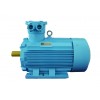 TYBCX系列隔爆型超高效三相永磁同步電動機(jī)\明騰電機(jī)