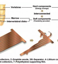 哥倫比亞大學(xué)研發(fā)新型仿生柔性鋰離子電池