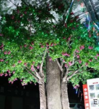 能發(fā)電、還有WiFi！雄安新區(qū)這棵“光伏樹”真厲害