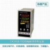 DK2608 PID智能程序控制儀表