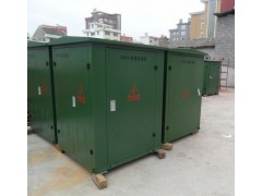 10KV環網柜 景觀式開閉所 高低壓電纜分支箱 箱變