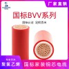 國標阻燃ZC-BVV 300/500V聚氯乙烯絕緣.護套