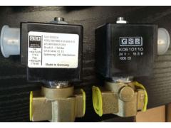 德國GSR型號D4023蒸汽電磁閥-GSR高壓電磁閥
