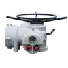 ROTORK羅托克電動執行器 IQ系