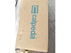 意大利科沛達泳池泵