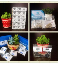 琛航科技：對待農殘檢測試劑包，我們也是認真的