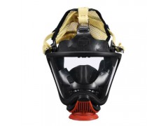 梅思安10149883超寬視野防毒面具