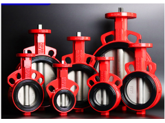 Bray博雷襯膠閥座蝶閥 30 31系列