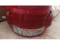 Bray博雷電動執行機構